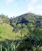 サマナ半島南側サンチェスから北側ラス・テレナスへは山越えになる。