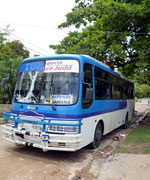 �T���o�h�[���Ƃ����������񂪎��O�̃o�X�Ōl�o�c���Ă���H�����B