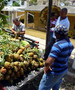 走行途中で助手にパイナップルを買わせるサルバドール。マイペースでバスは進む。